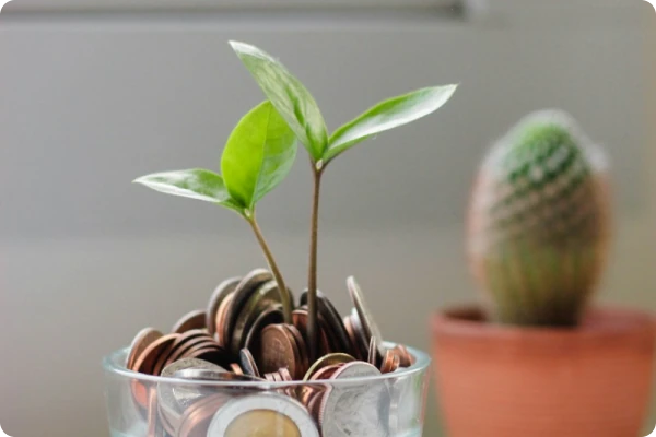 ProGrowth marketing team collaborating on strategy